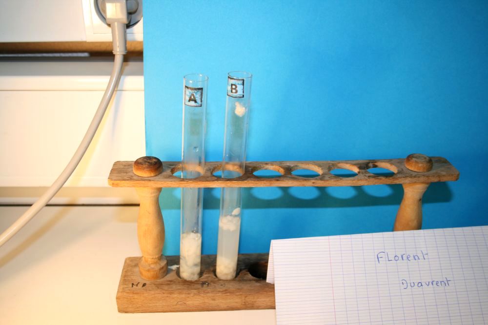 gal/LES_CINQUIEMES/ACTIVITE DIGESTION IN VITRO/Groupe_02/Groupe02_T_00h00min/Groupe02_temps__H__min_13.jpg